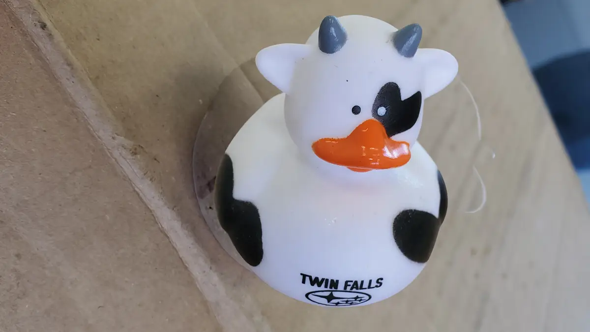 Branded Moobaru cow rubber duck for Twin Falls Subaru